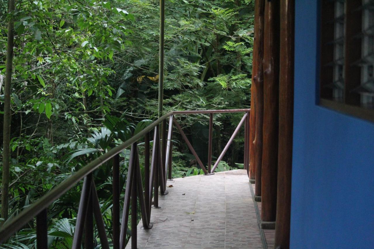 Iguana Libre Hotell Dominical Exteriör bild