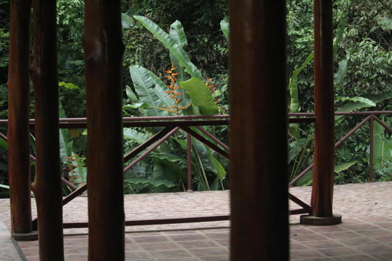 Iguana Libre Hotell Dominical Exteriör bild