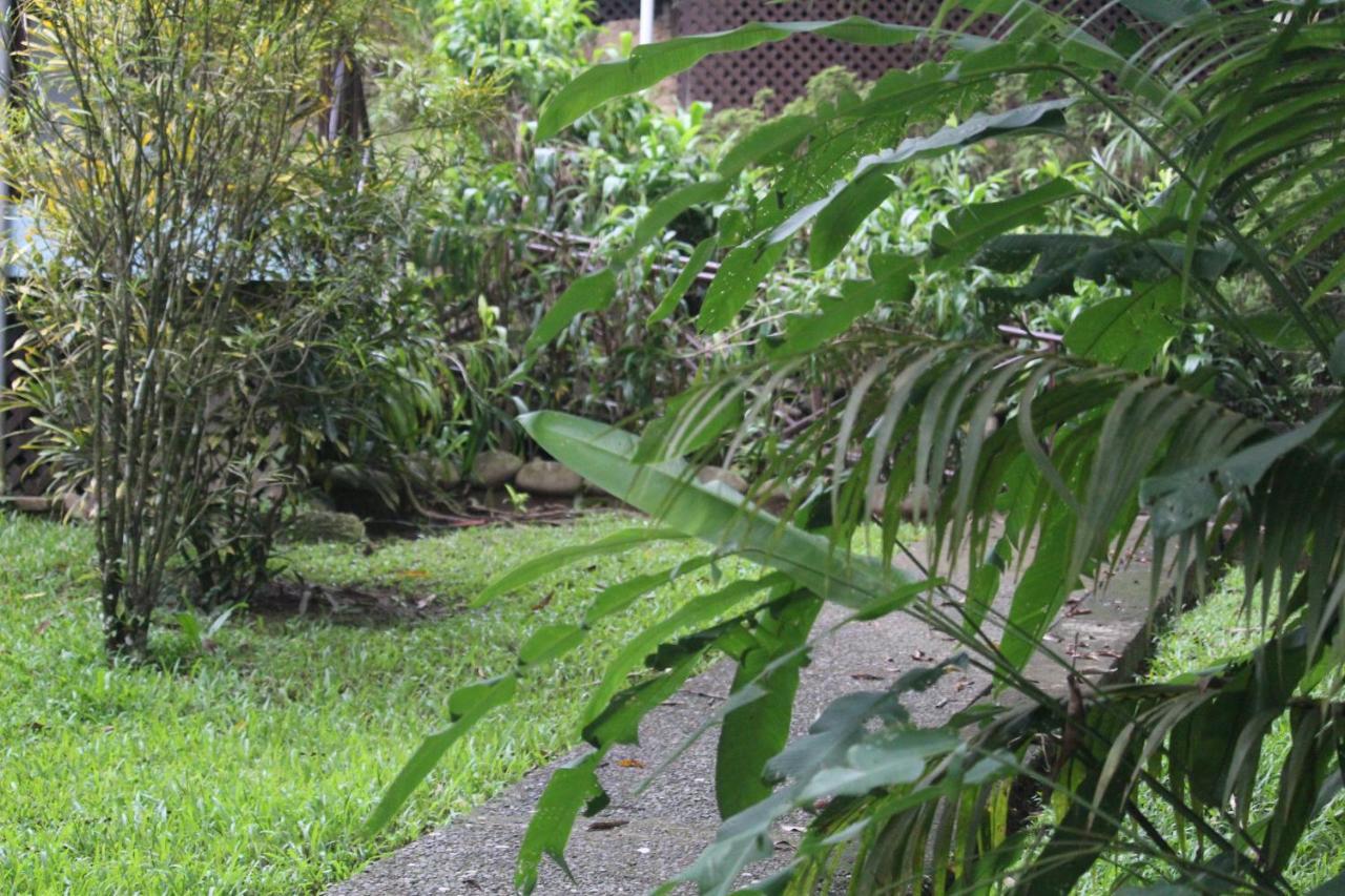 Iguana Libre Hotell Dominical Exteriör bild