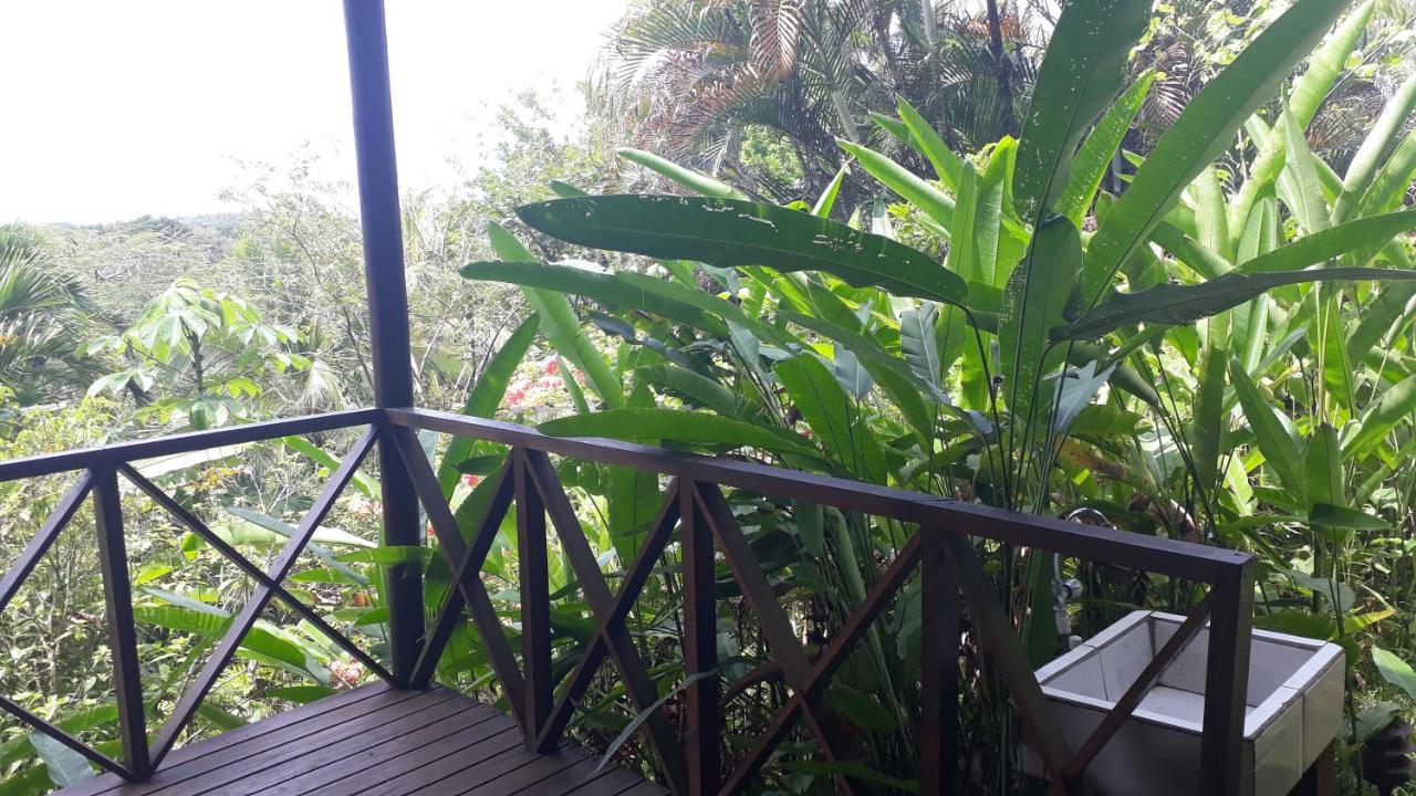Iguana Libre Hotell Dominical Exteriör bild