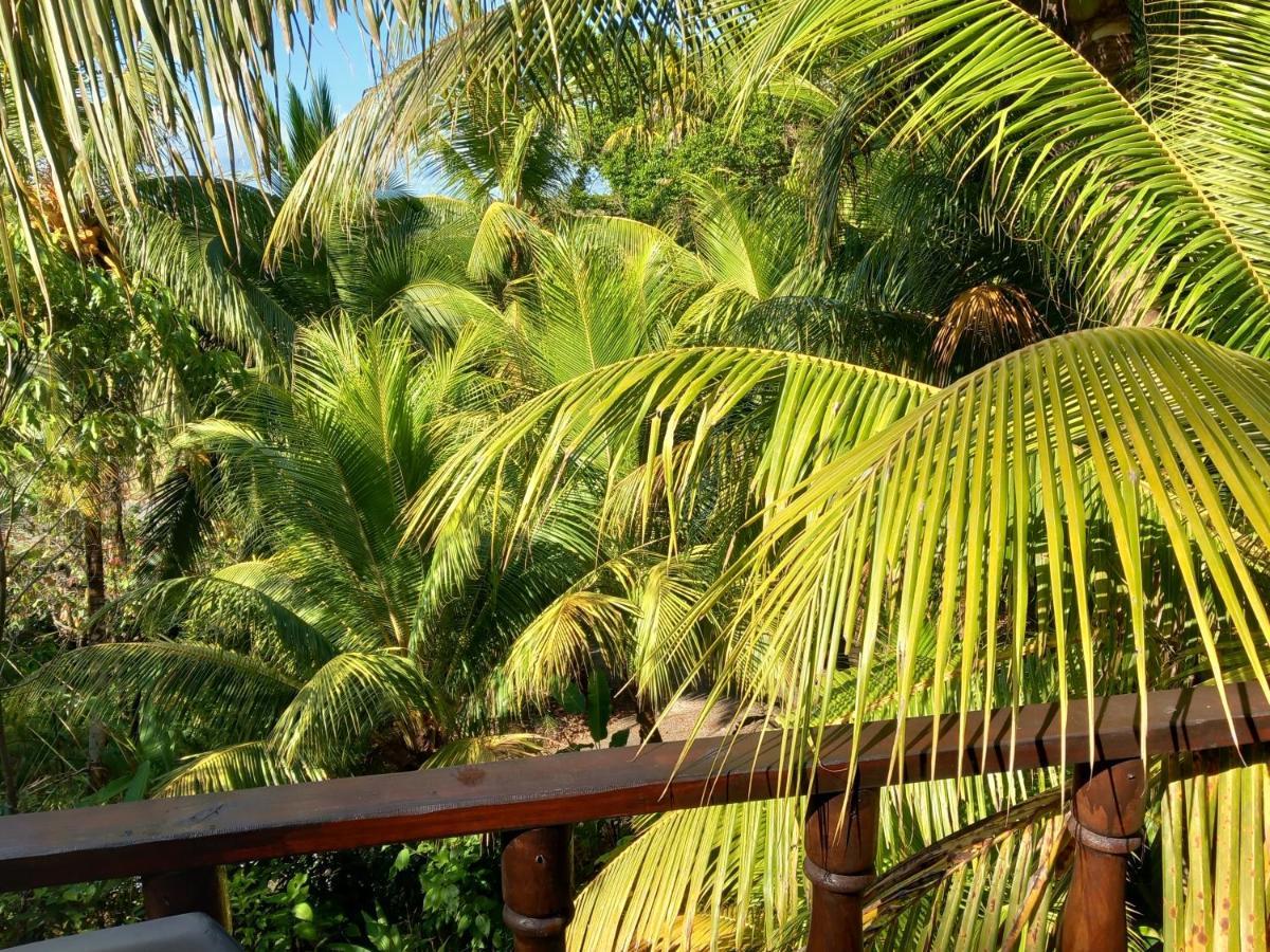 Iguana Libre Hotell Dominical Exteriör bild